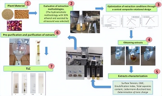 子囊菌门真菌：生物表面活性剂的有益生产者