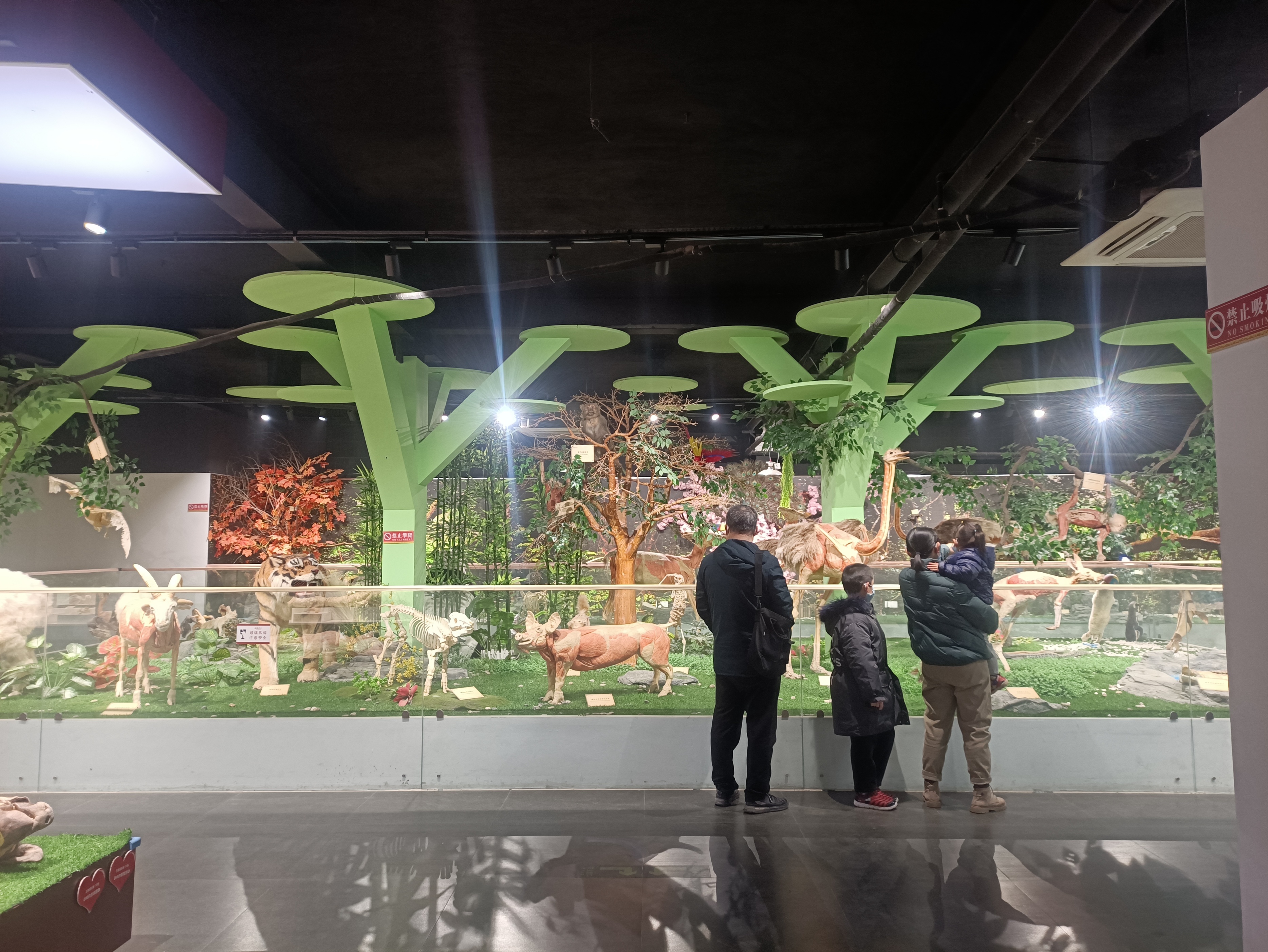 郑州春天去哪里旅游,郑州周边适合春天去的地方