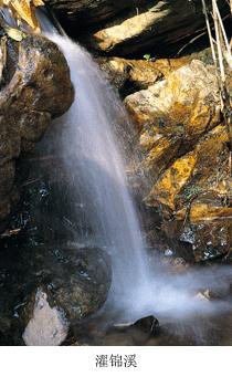 五磊寺的十里梅花径:追寻诗意仙境的心灵之旅