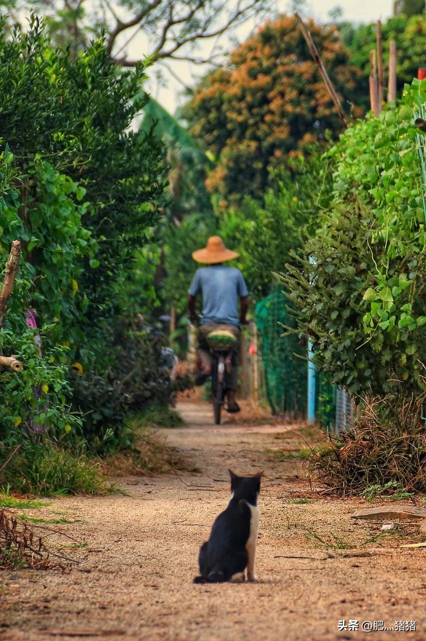 周润发刘德华感动视频,周润发惊呆大陆的视频