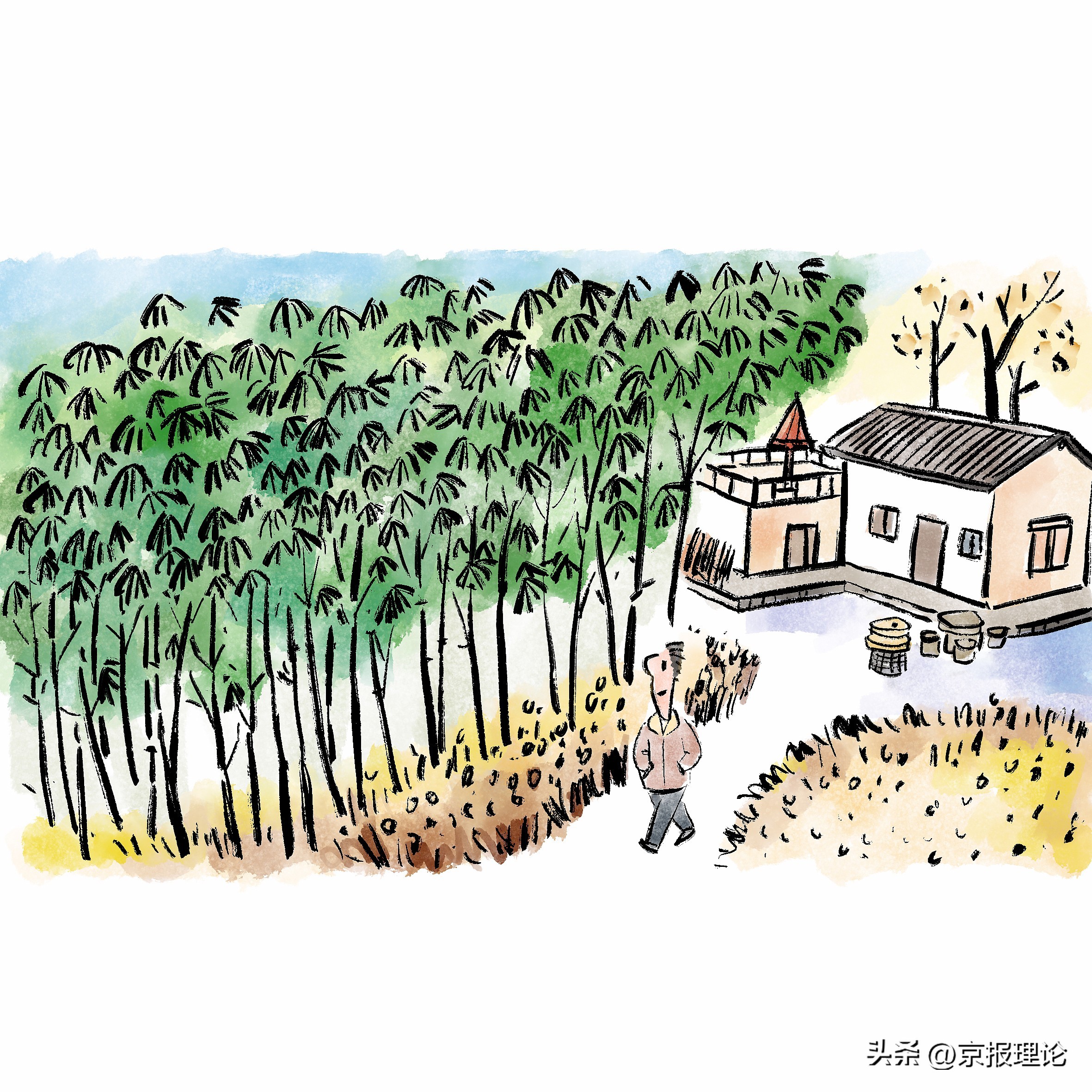 返乡青年图片,返乡青年特点