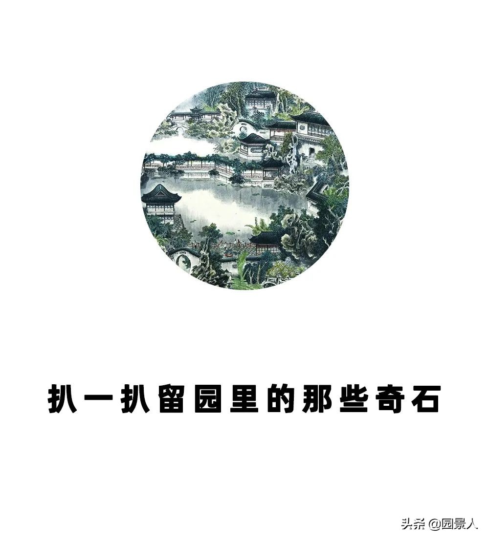 留园江南奇石特点,留园中园的奇石