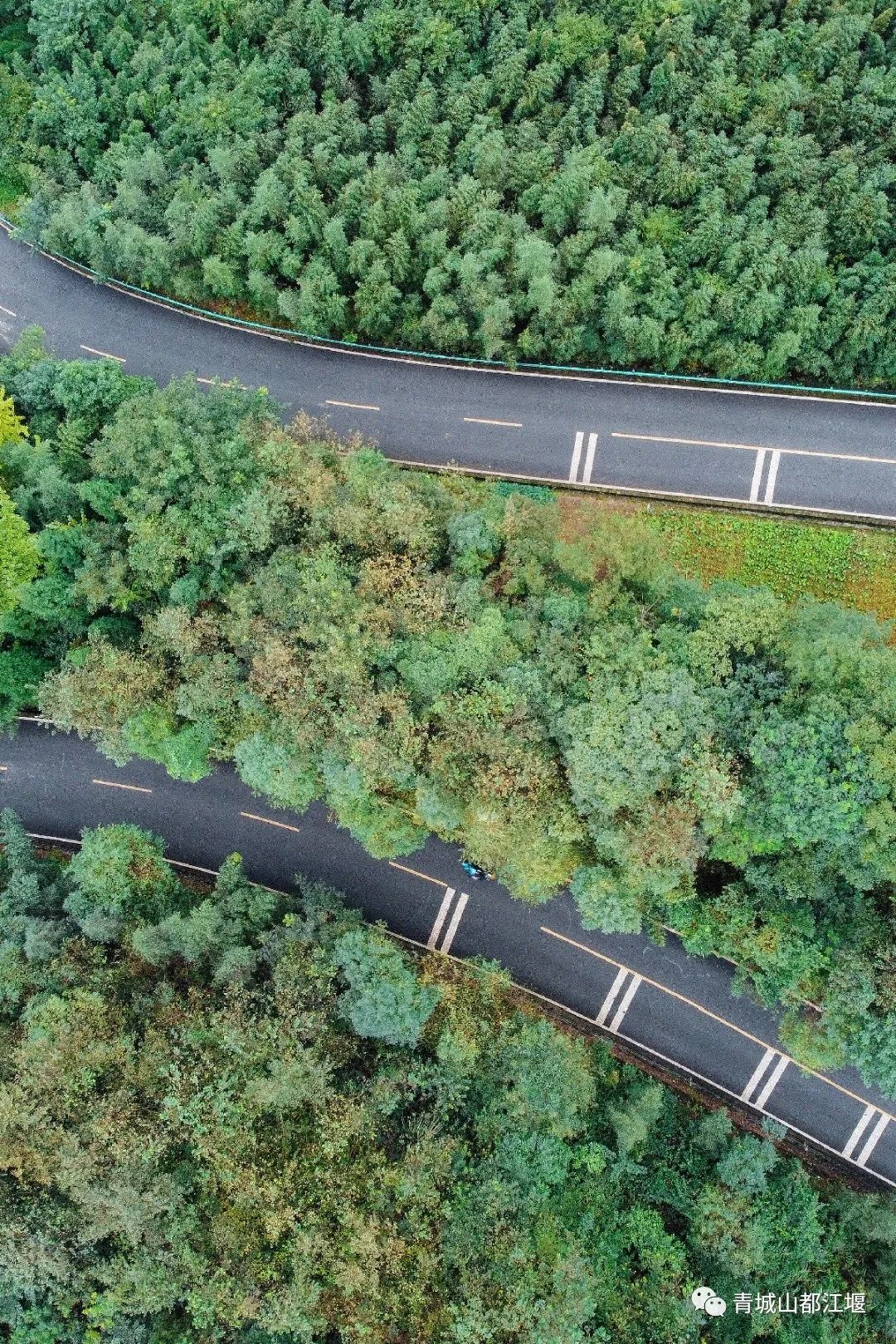 抓住秋天的尾巴！都江堰必打卡的8大晚秋好去处，步青山观烟岚云岫、入古城拾千年烟火，来过都会爱上