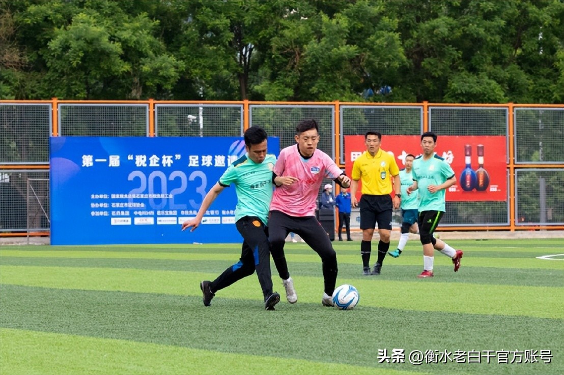 衡水老白干篮球赛衡水赛区,衡水老白干石家庄活动