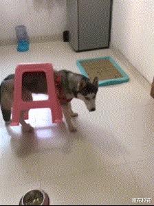 每日一笑闺蜜交了新男朋友,每日一笑之闺蜜交了新男朋友