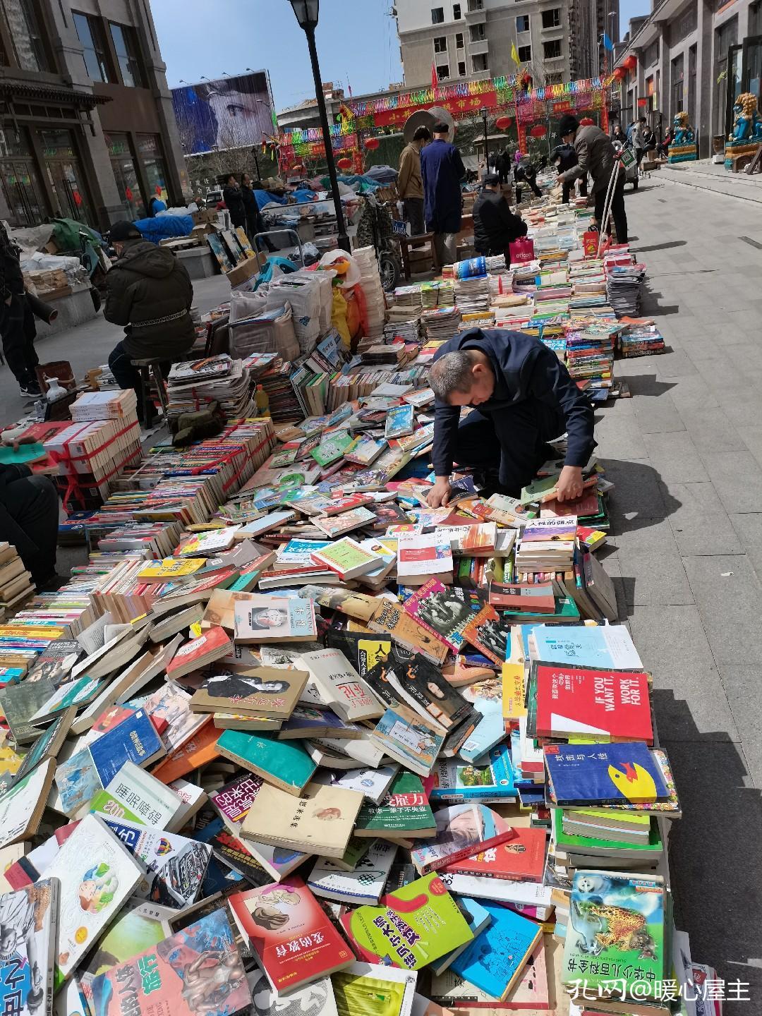 背上我的小书包去文化市场淘宝，淘到两摞自己比较心仪的书