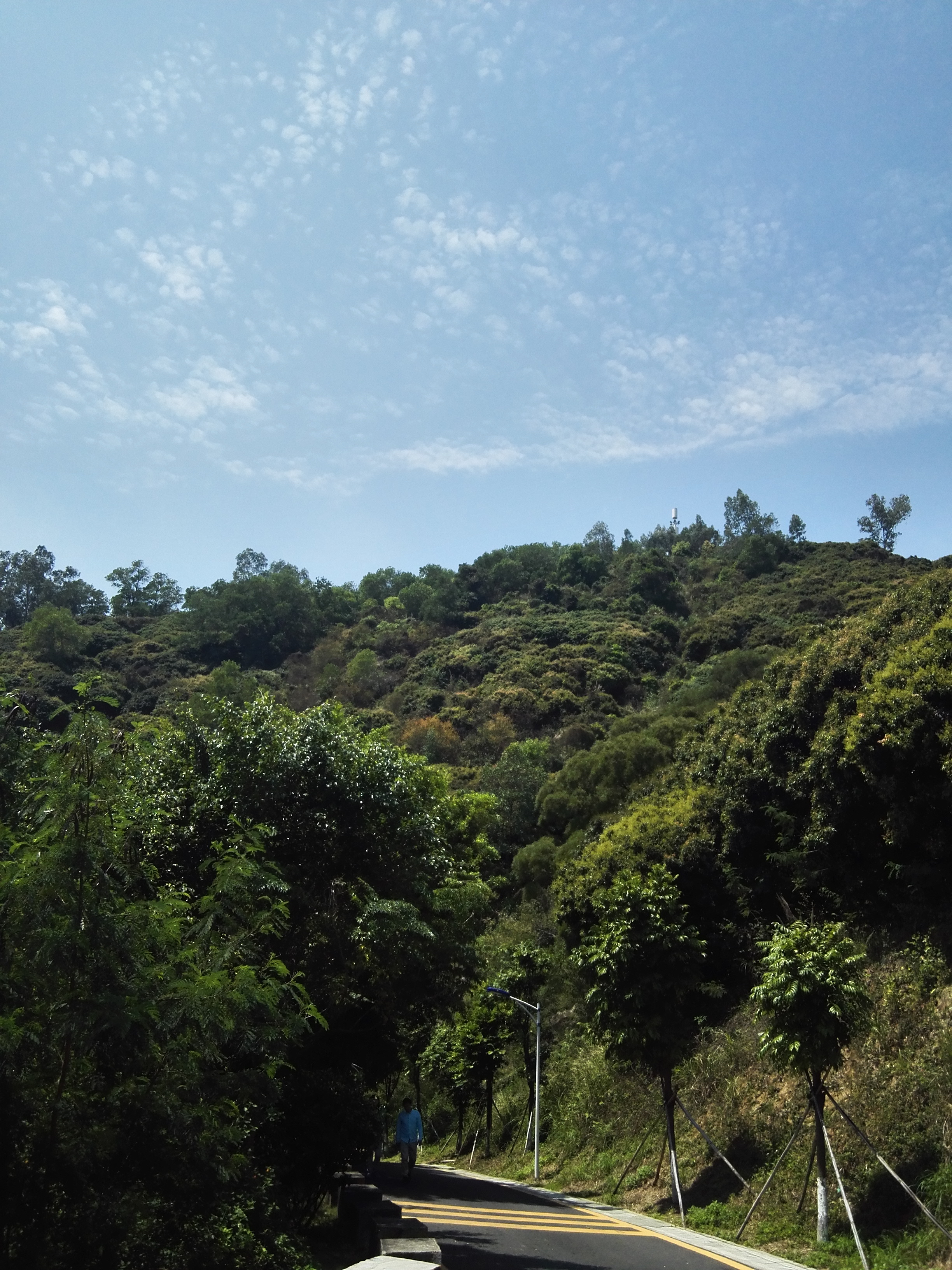 深圳平峦山公园,深圳宝安平瑾山公园图片大全