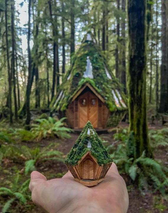 两位情侣在森林中搭个帐篷,一对情侣在大山深处打造的家