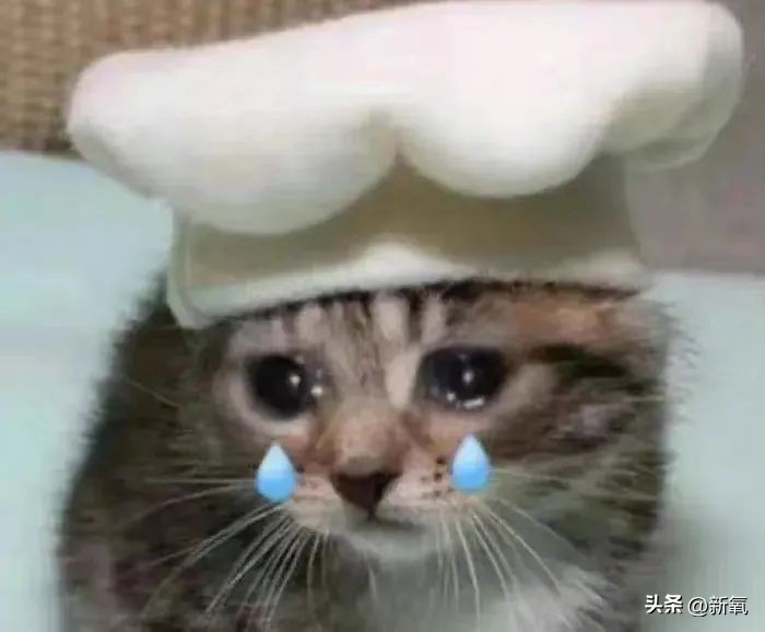 马东锡和芮呈和如何认识的,马东锡和芮呈和合影