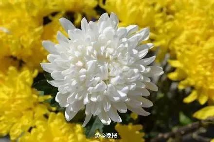 雪的记忆图片,一场雪的记忆