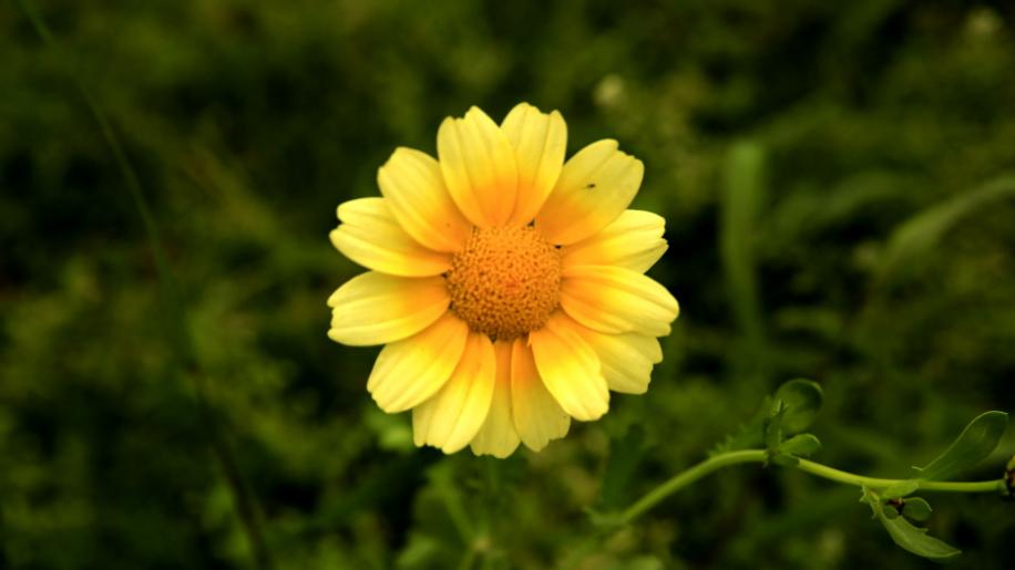 亲戚之间不能做的八件事,亲戚结仇