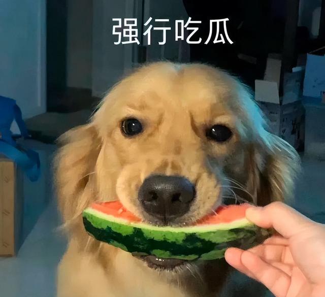 国足太太团肤白貌美,国足太太们颜值逆天