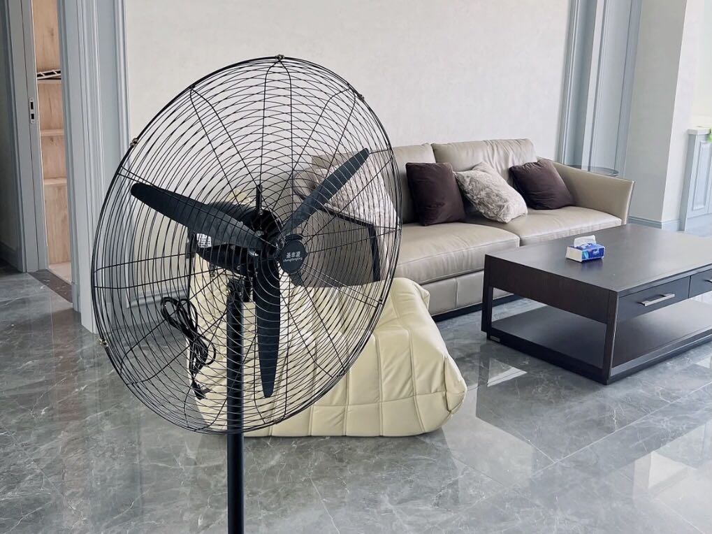 用什么去除墙上的甲醛污染味道,放室内去除甲醛最好的植物