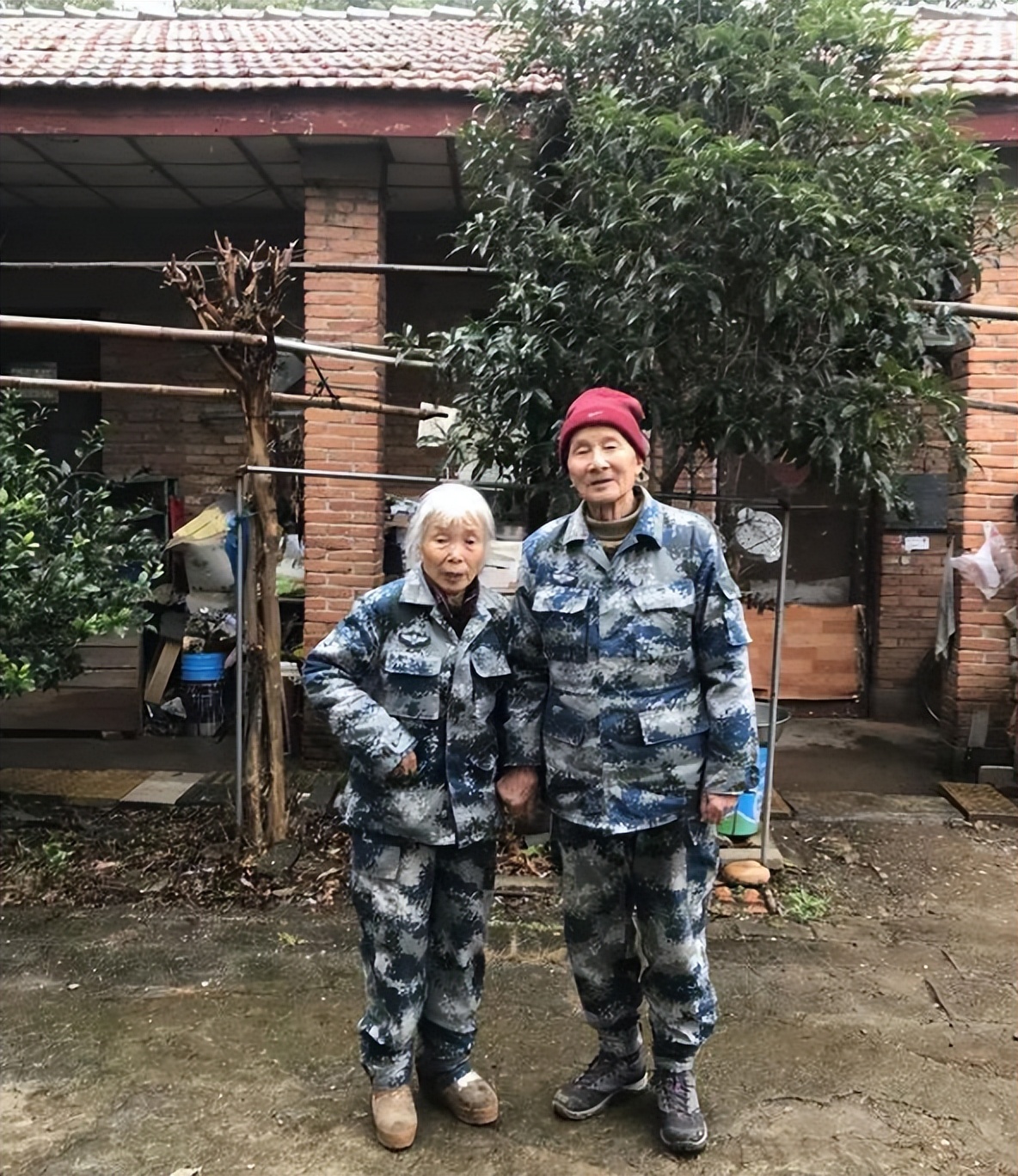 80岁老太捐款5万被劝回,老人转账300万被银行报警真相感人