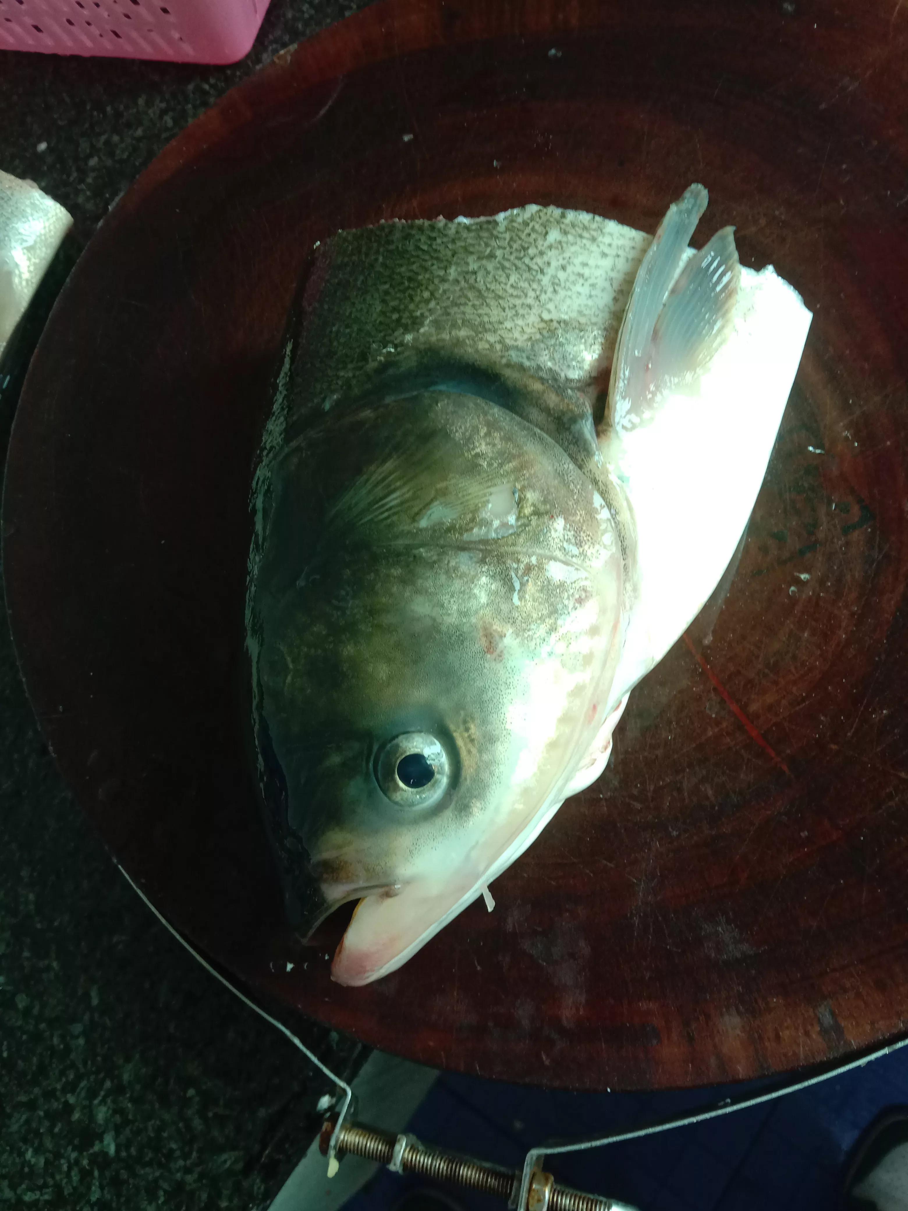 重庆美食攻略十大必吃排行榜,重庆美食加盟