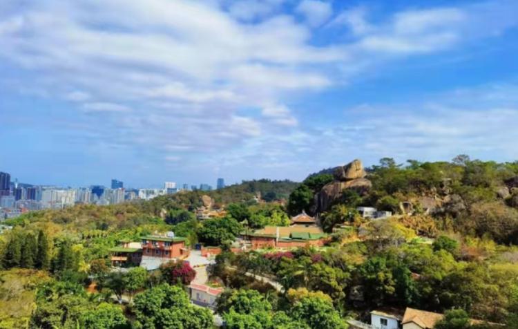 赏城中美景，品厦门味道。城市中心C位酒店，毗邻植物园、中山路
