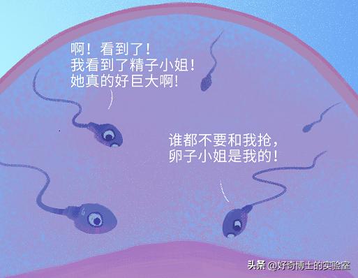 精子进入人体1小时变化,精子进入人体24小时变化