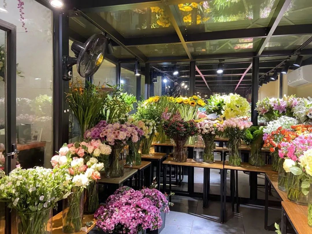 湖南“花二代”开园艺中心，线上一天卖花12万盆，年营业额超2000万元