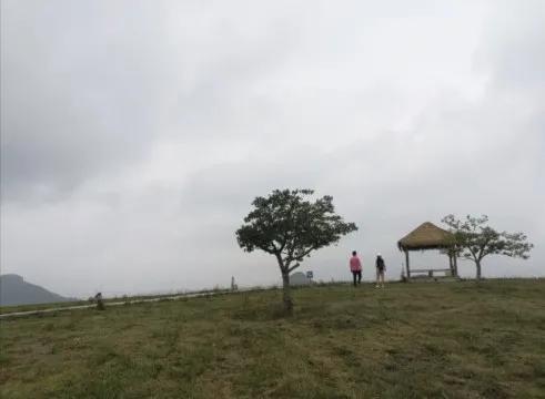 沂蒙七十二崮分布图,沂蒙山区七十二崮属于什么地貌