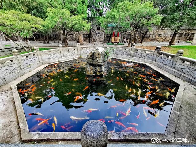 山东泰山附近旅游必去十大景点,山东安泰集团怎么样