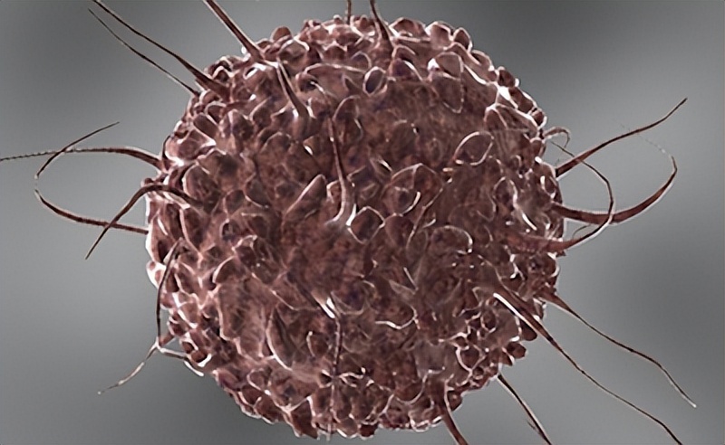 最新十大科技,十大前沿科技新技术