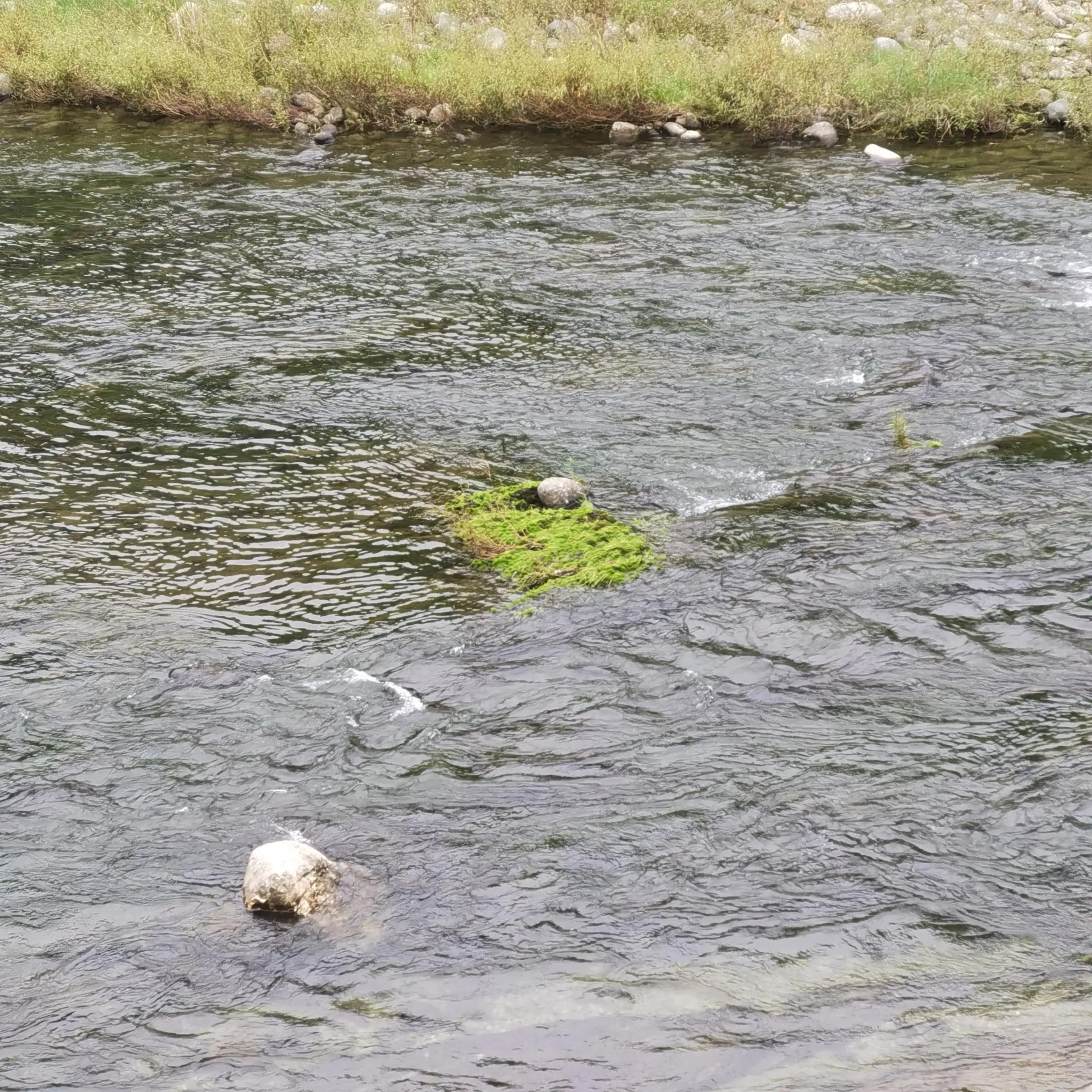 皇帝的新装故事全文,现实版皇帝的新装美女版