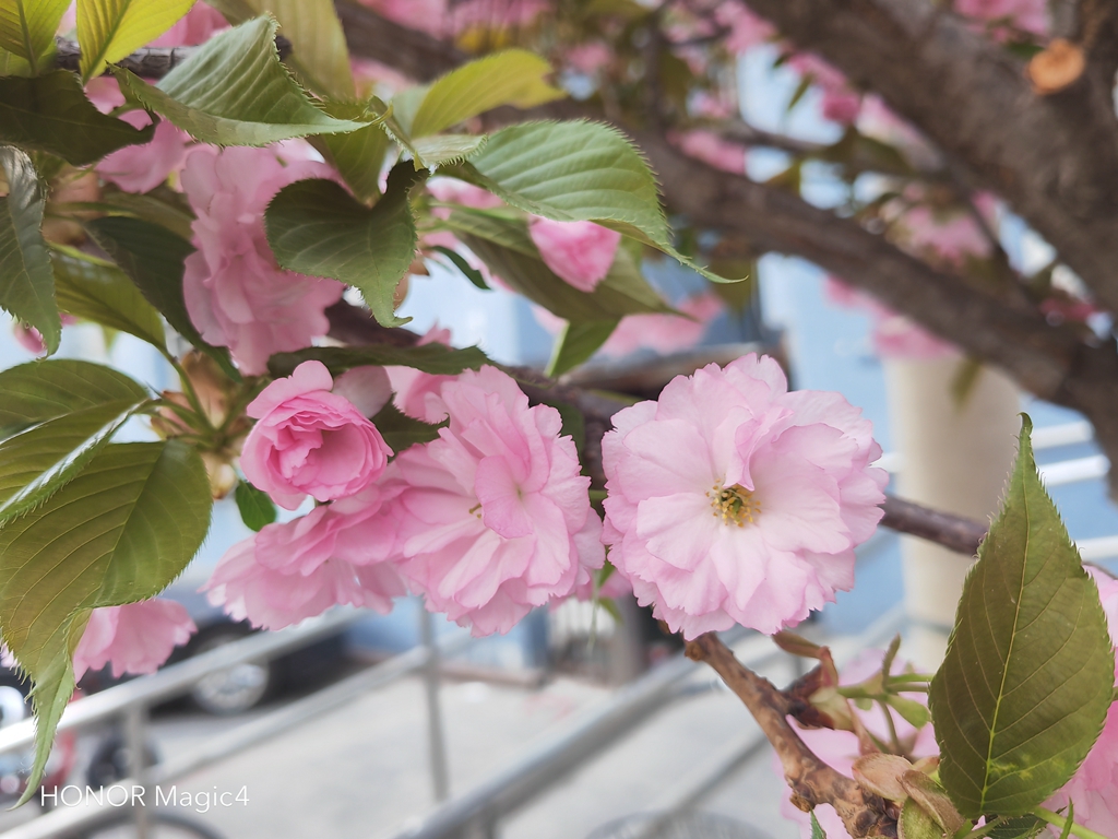 荣耀magic4和magic3有什么区别,荣耀magic4搭载骁龙8值得购买吗