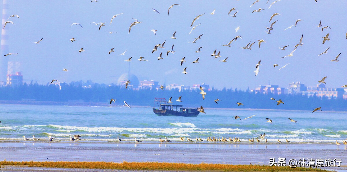 中国有海宜居且环境优美的城市,中国宜居海边之城