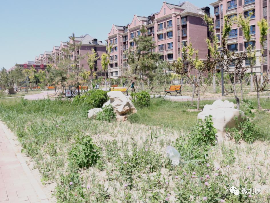 口袋公园颜值,口袋公园兜起城市幸福时光