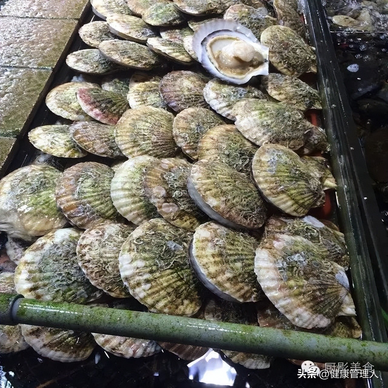 世界顶级海鲜食材,世界顶级的海鲜视频