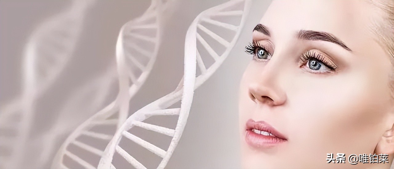 合成生物学新产物,合成生物学有什么用