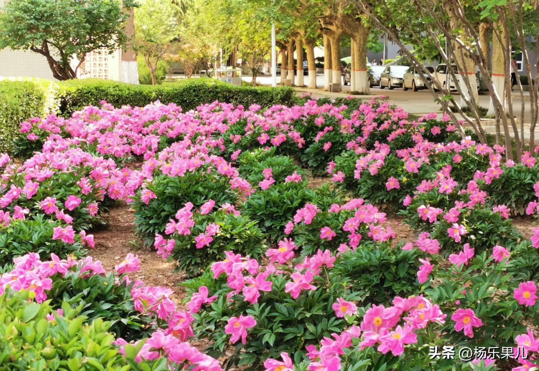 咸阳十景,陕西咸阳名胜古迹有哪些