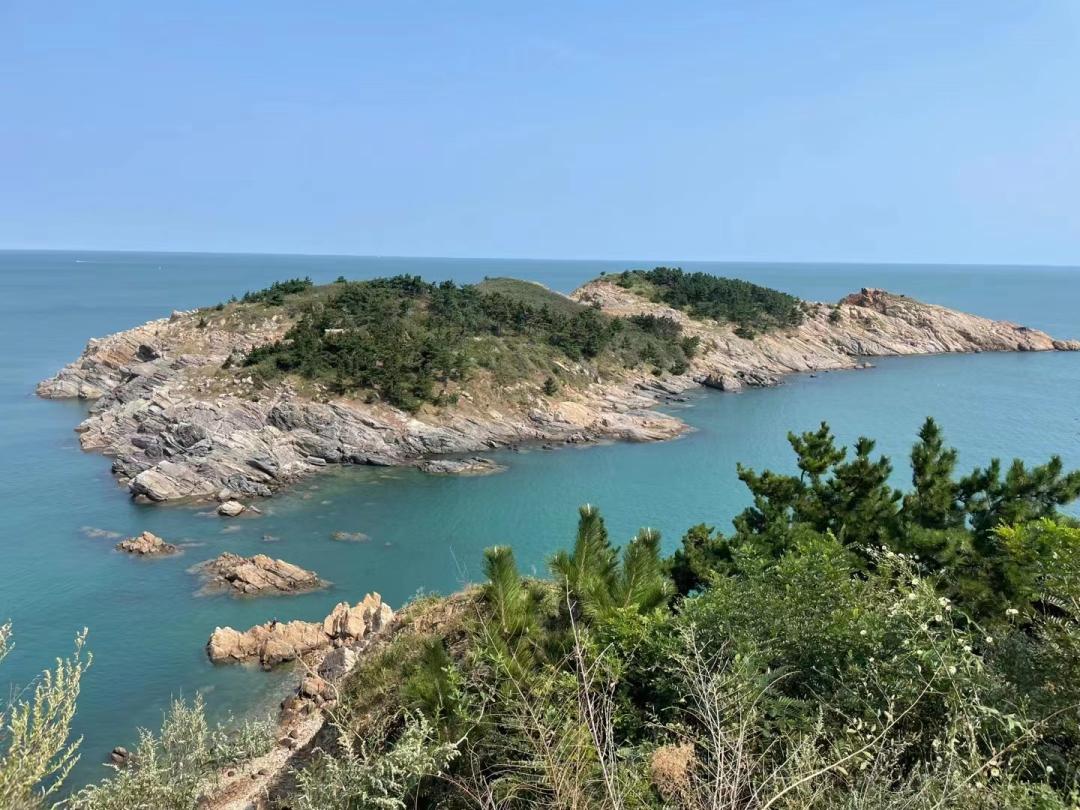 2亿中国人打零工：做核酸试剂包装日入240元，摘草莓月入2万