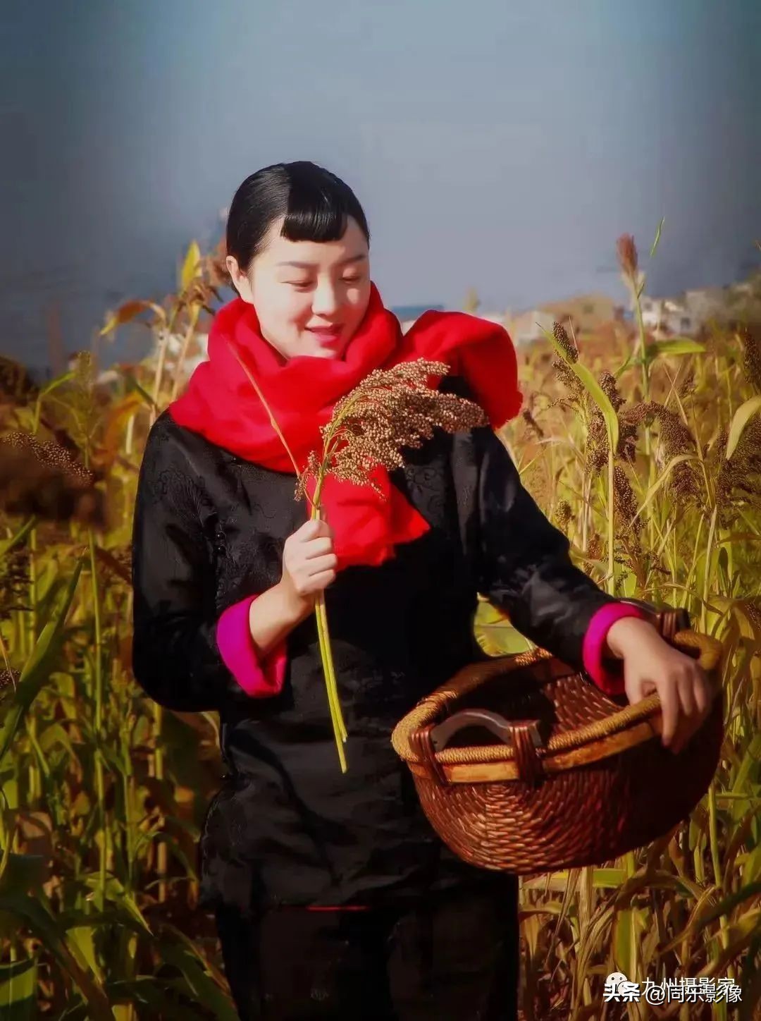 海阔凭鱼跃，天高任鸟飞---九州摄影浙江俱乐部优秀作品展