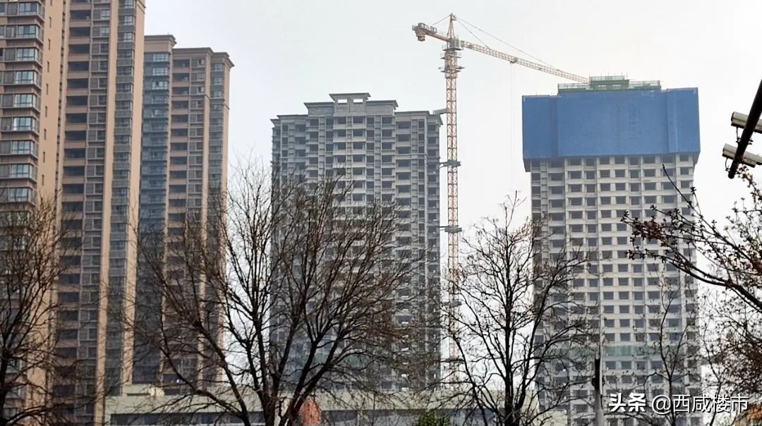 咸阳金科楼盘工程进度,咸阳所有在售楼盘价格