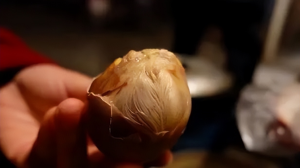 南京人真的太太太太太硬了!