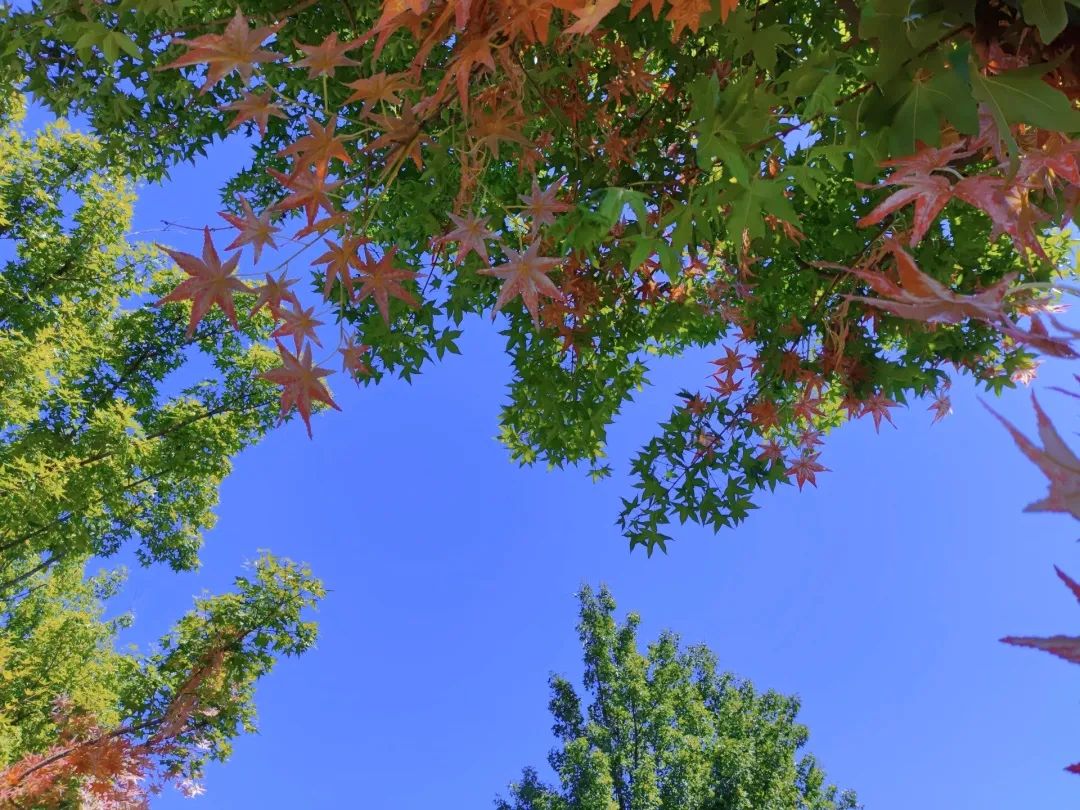 丰台文化旅游园,北京丰台文化旅游