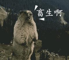 13岁女孩遭强奸生女，能不能把这畜生给化学阉割了？