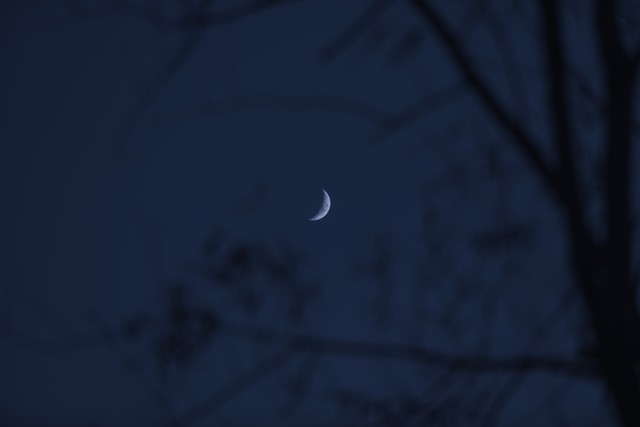 深山打猎记实——（二）套兔子的技艺