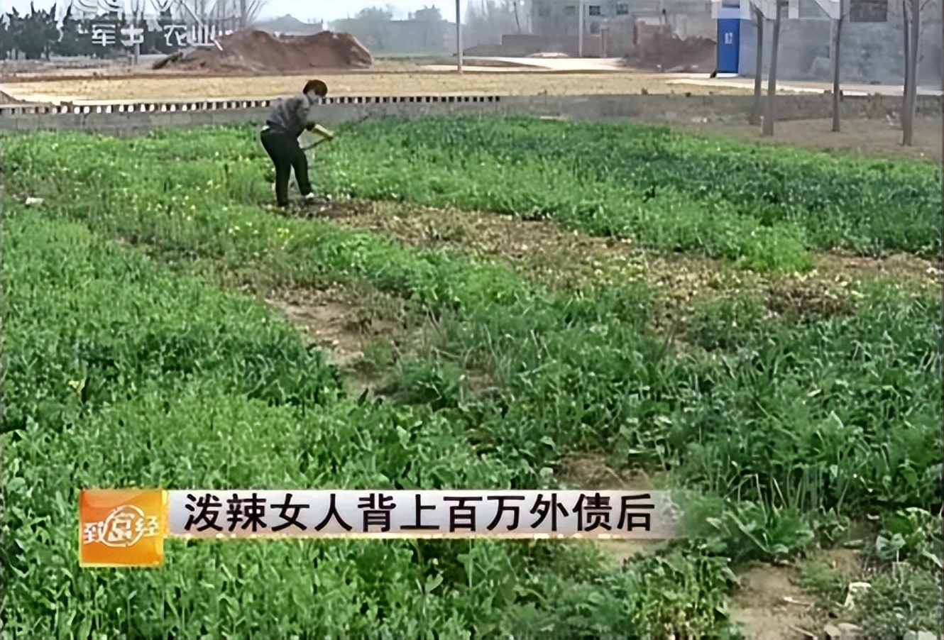 河南大姐为提高猪仔存活率，用白酒喂母猪，年入千万，有何玄机？