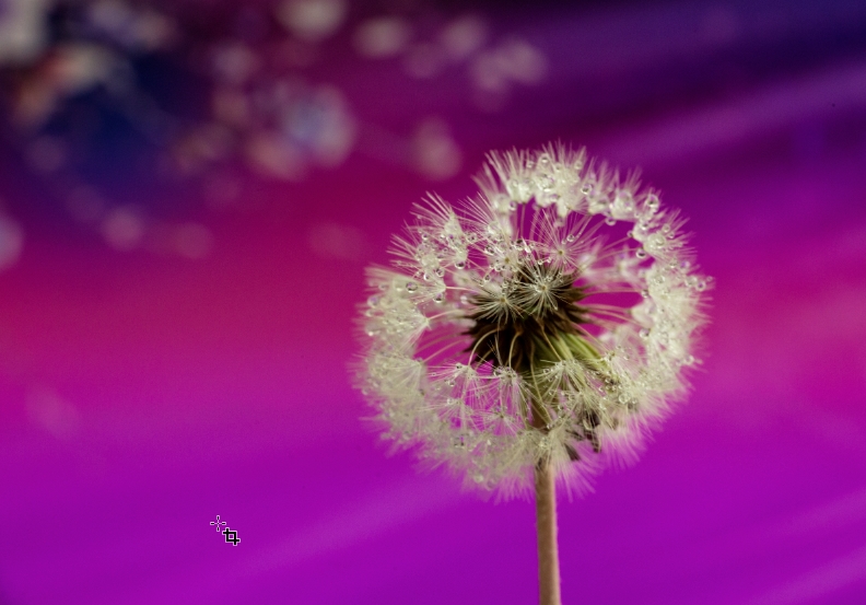 ps莫兰迪高级灰怎么调色,怎么用ps把图片变成高级灰