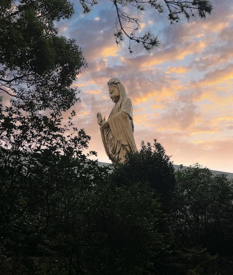 普陀山必去的岛,普陀山出岛后还可以登岛吗