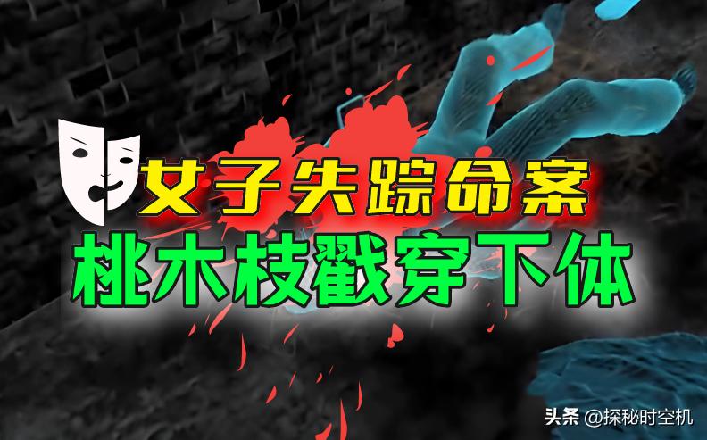 2014年，桃木枝戳穿*体下**？河北女子死状诡异，求爱日记本藏杀机