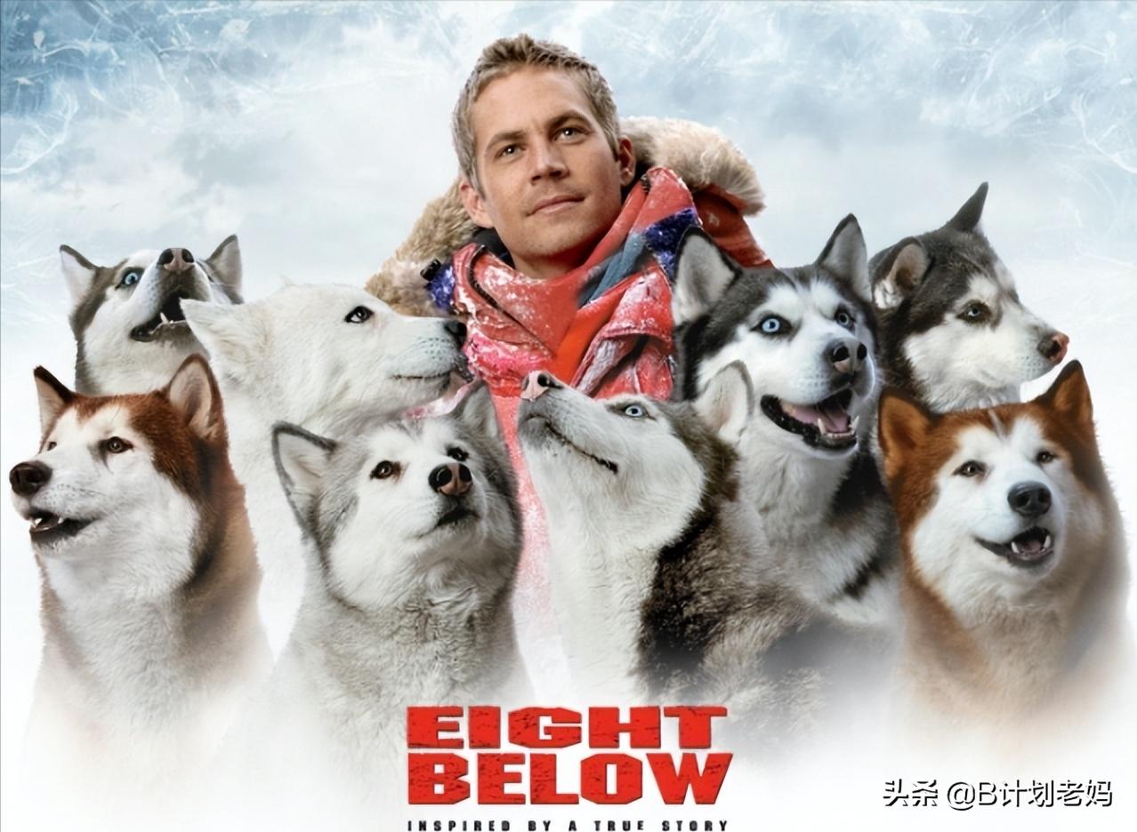 关于动物的英语电影推荐小学生,最好看的英语动物电影