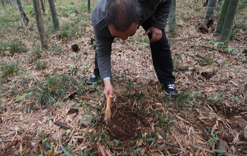 鏉戞皯鎶婄唺褰撶嫍鍏讳簡涓夊勾,琚潙姘戞敹鍏荤殑鐔婂唇