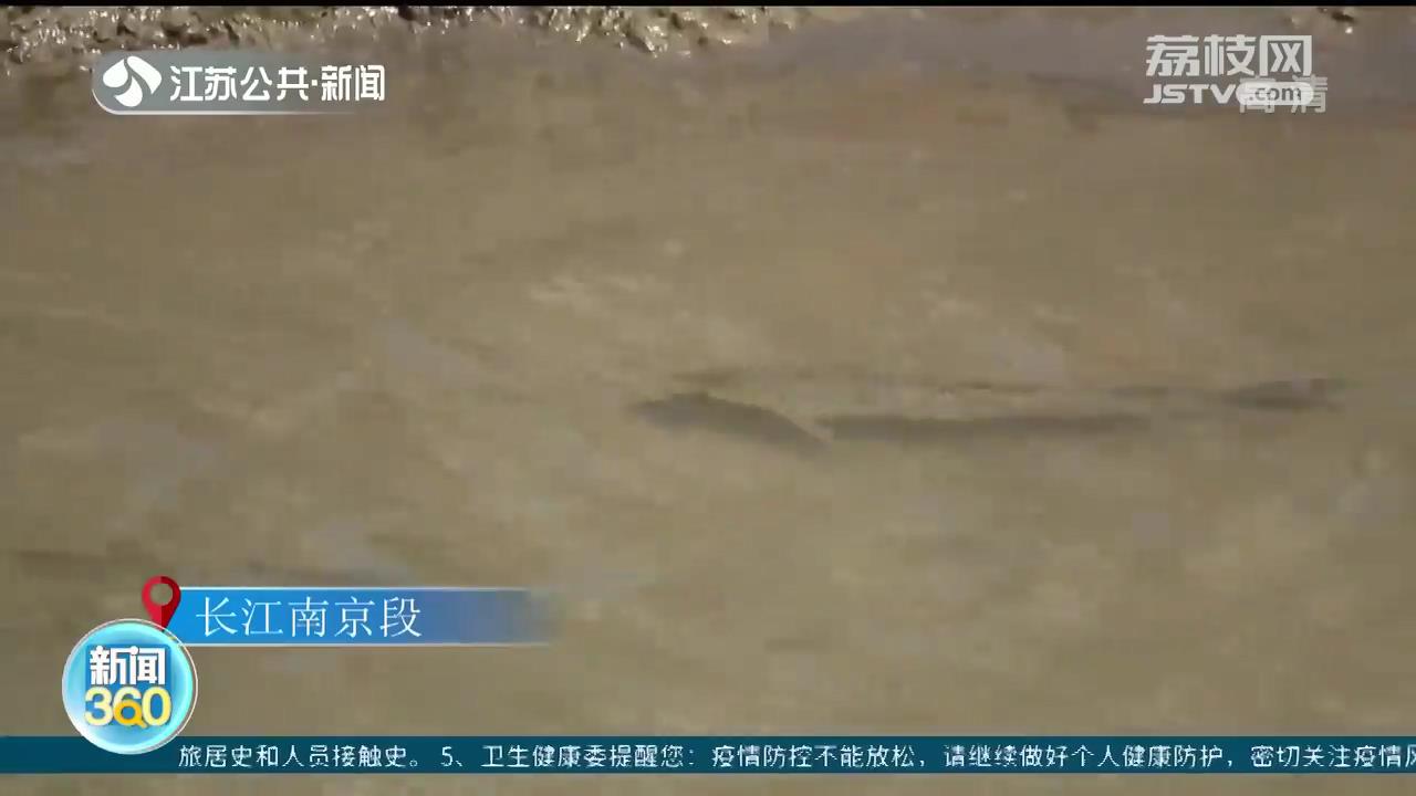 长江生态保护和绿色发展视频,生态环境高质量发展长江