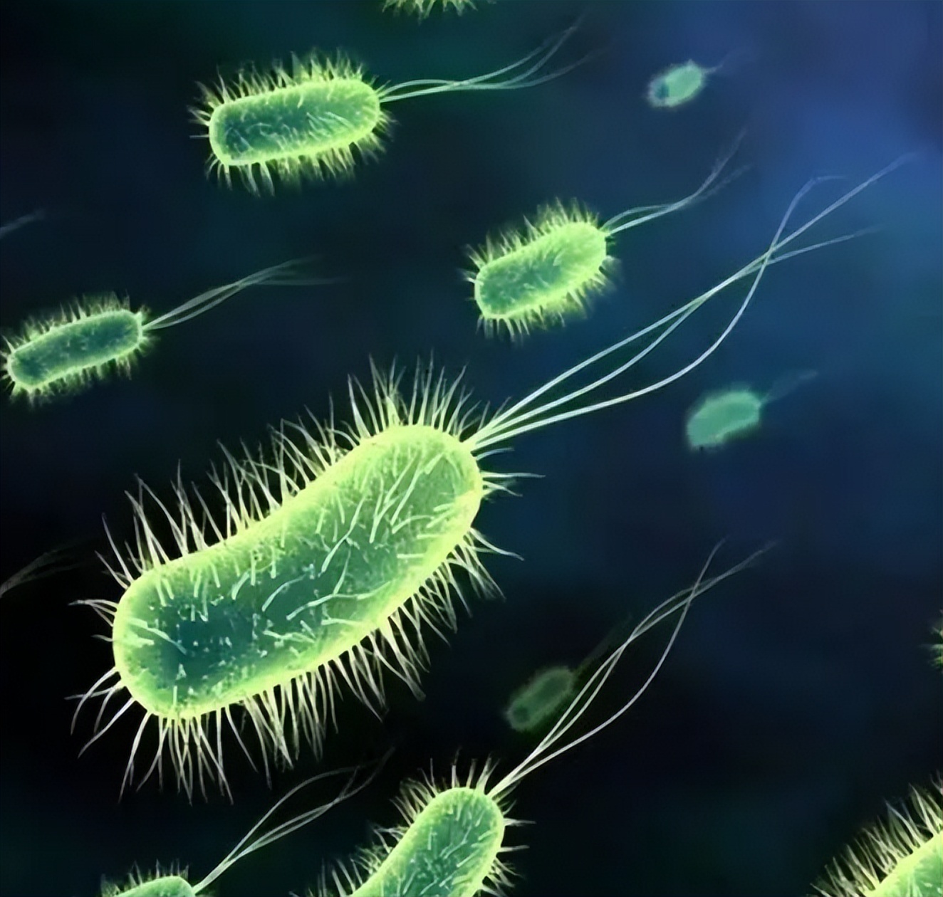 你知道女性的阴道有多长吗?或许与你所想,完全不同!