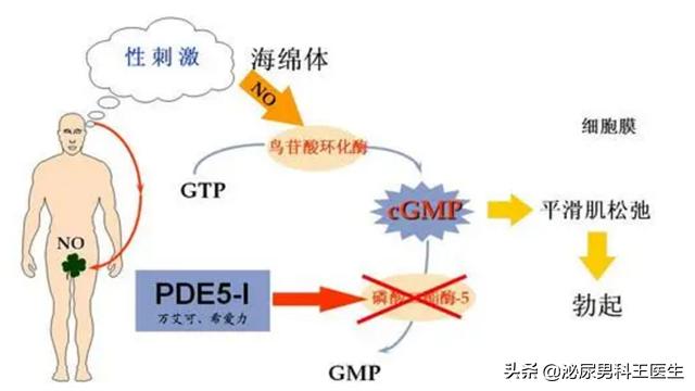 阿伐那非第一次吃要注意什么？牢记这些原则