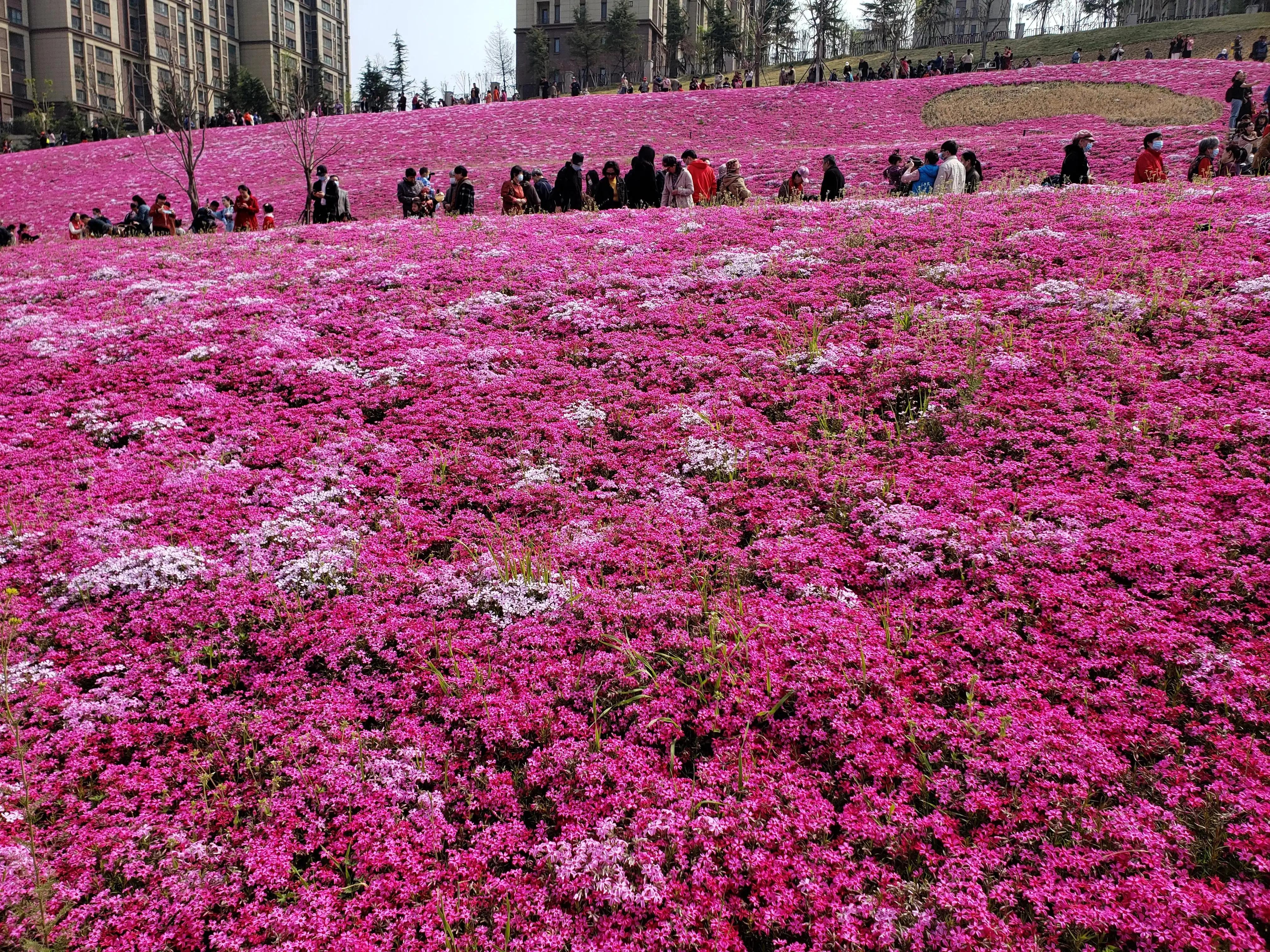 济南阳光100往南有什么好玩的,济南阳光100附近公园