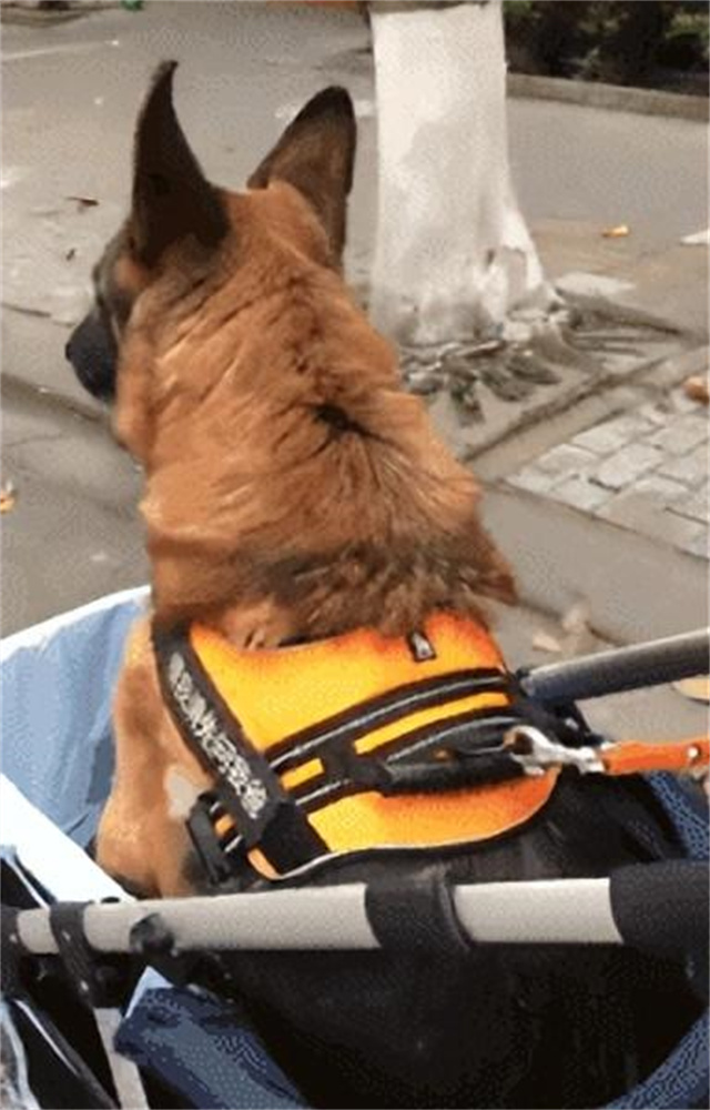 汶川地震搜救战士,汶川地震连续搜救十天十夜